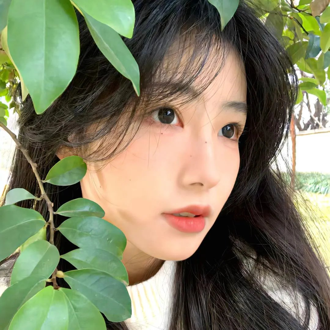 暗香来